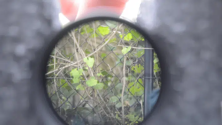 LEUPOLD SCOPE MAGNIFICATION (1)