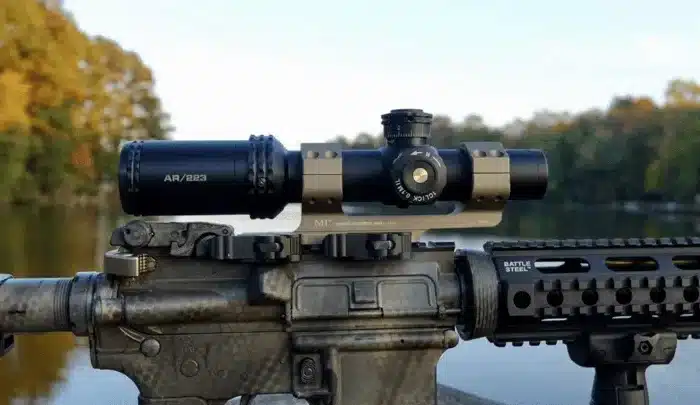 Bushnell 1-4x24 Review