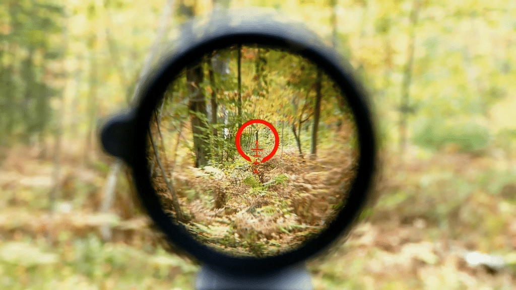 Bushnell 1-6x24-Clarity