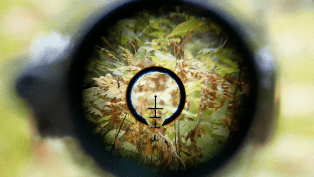Bushnell 1-6x24