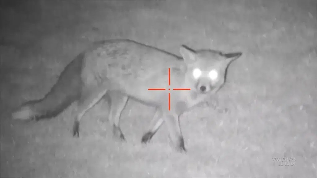 Sightmark Wraith 4K 4-32x40-Night Vision