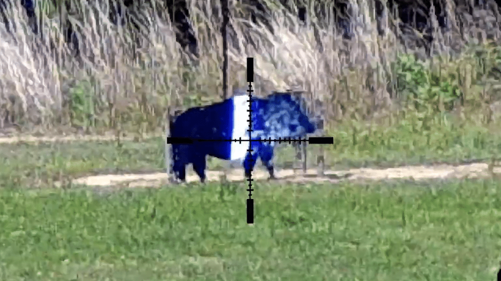 Reticle