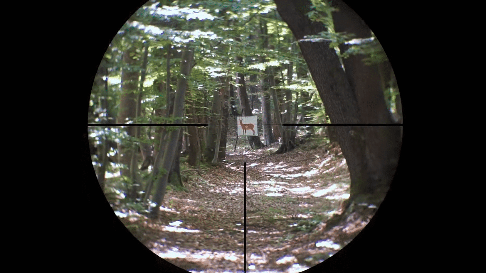 Swarovski Z8i 2-16x50 P-Reticle