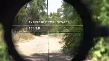 Field of view