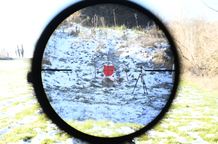 Magnification range