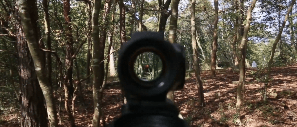 Aimpoint Duty RDS