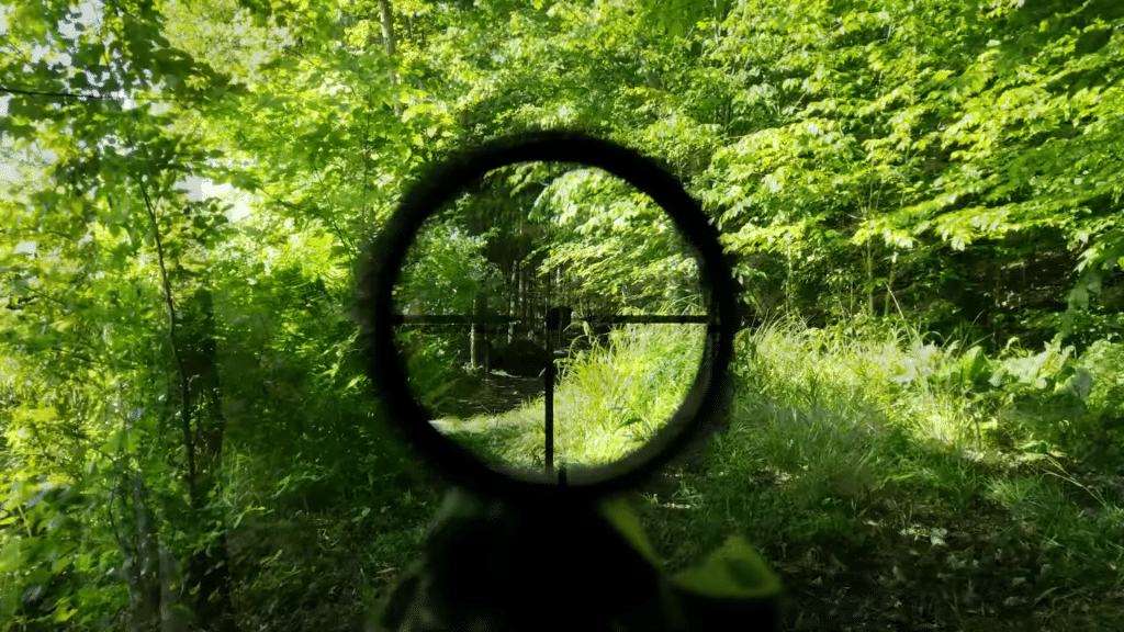 Leupold VX-Freedom-Forest View