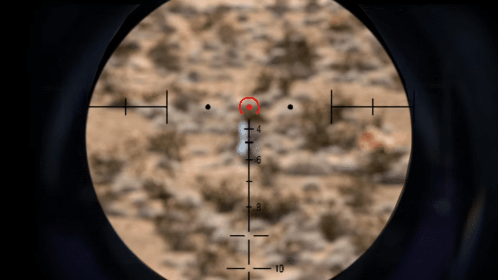 Magnification