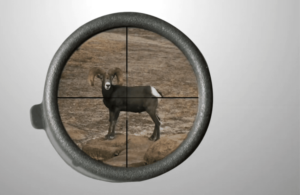 Swarovski Z3 3-10×42