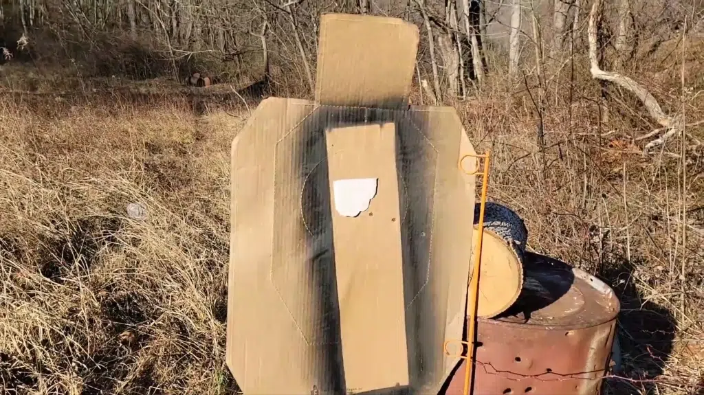 Pinty 1x20 Red Dot