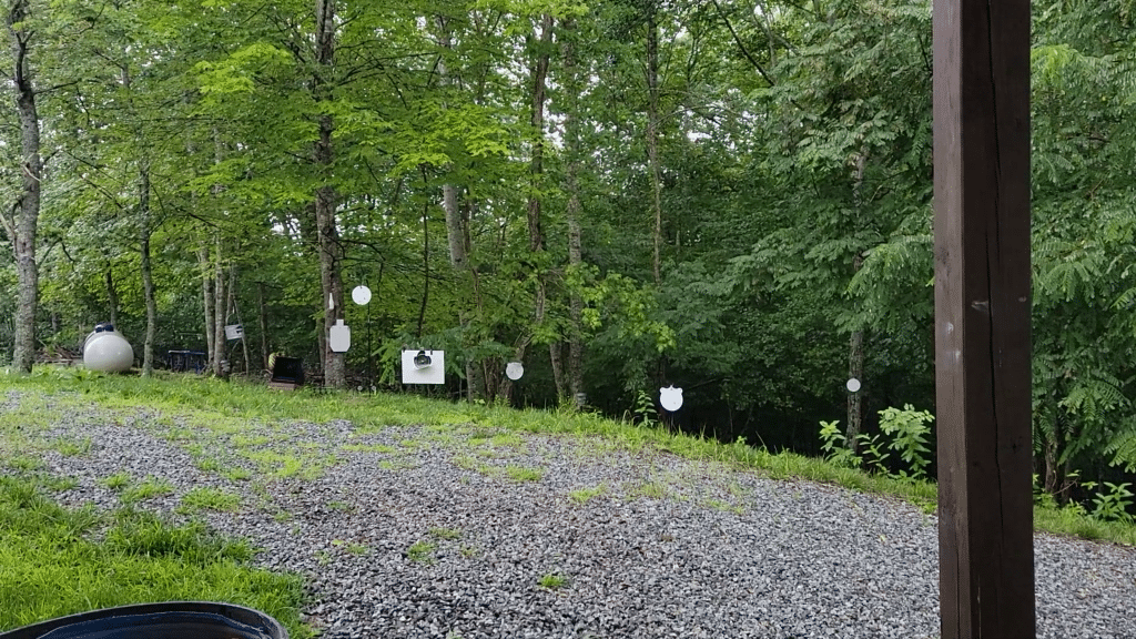 Pinty 1x20 Red Dot